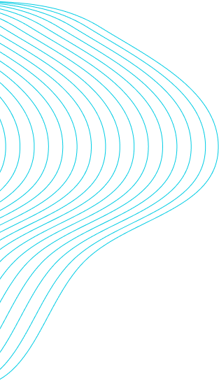 company-transparency-shape-1-1